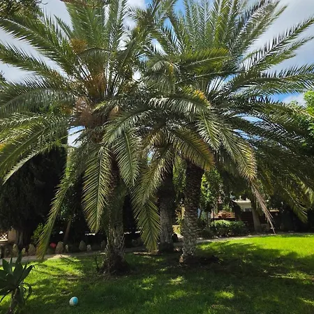 Nadezda Paphos