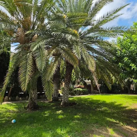 Villa Nadezda Paphos