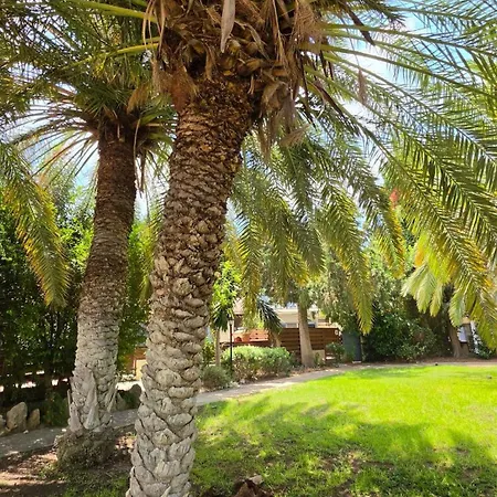 Nadezda Vilă Paphos