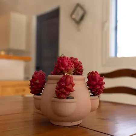 Nadezda Vilă Paphos