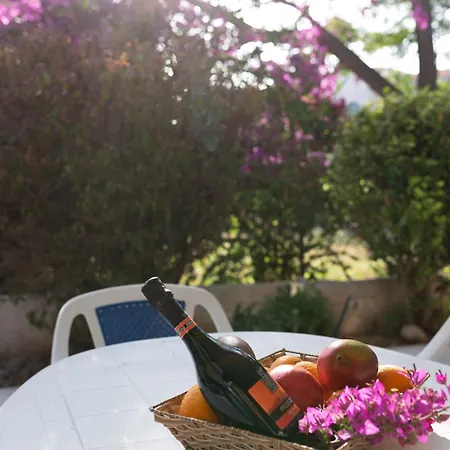 Nadezda Paphos